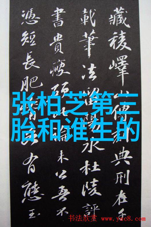 电影天堂探索555系列影视作品的魅力