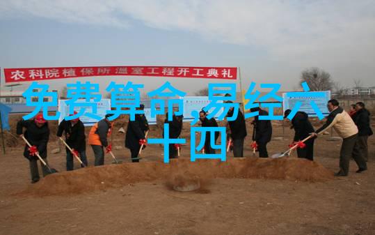 网红表情包背后的傅园慧洪荒少女的逆袭之旅