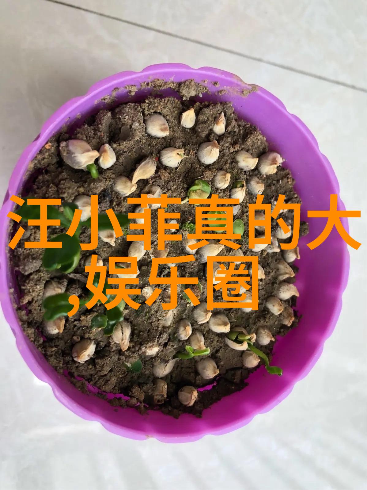 娱乐新闻聚焦热门影视剧播出时间