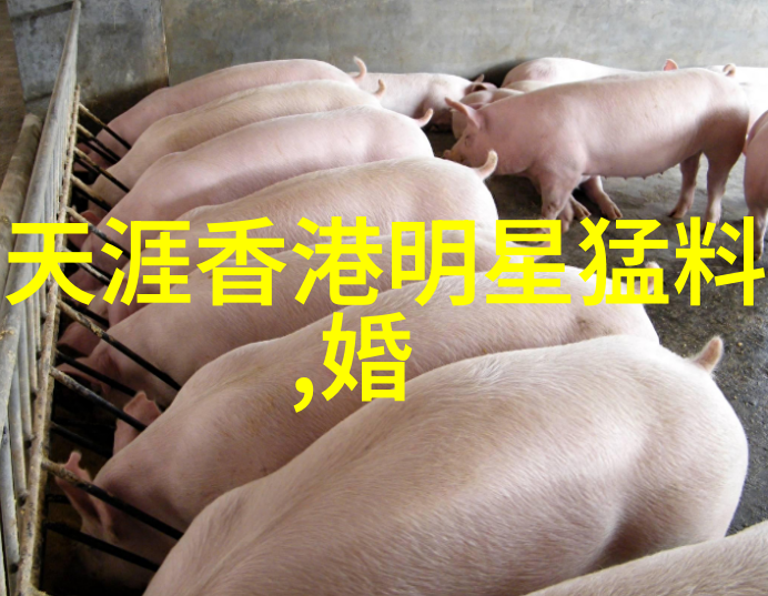 缱绻记忆为什么我们仍然钟爱那些古老而充满情感的黑白相片