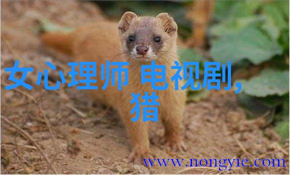 短发时尚学探究现代女性头发风格的文化与审美变迁