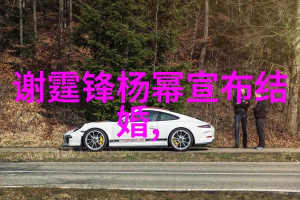 穿梭于影幕伪装者的电视剧之谜