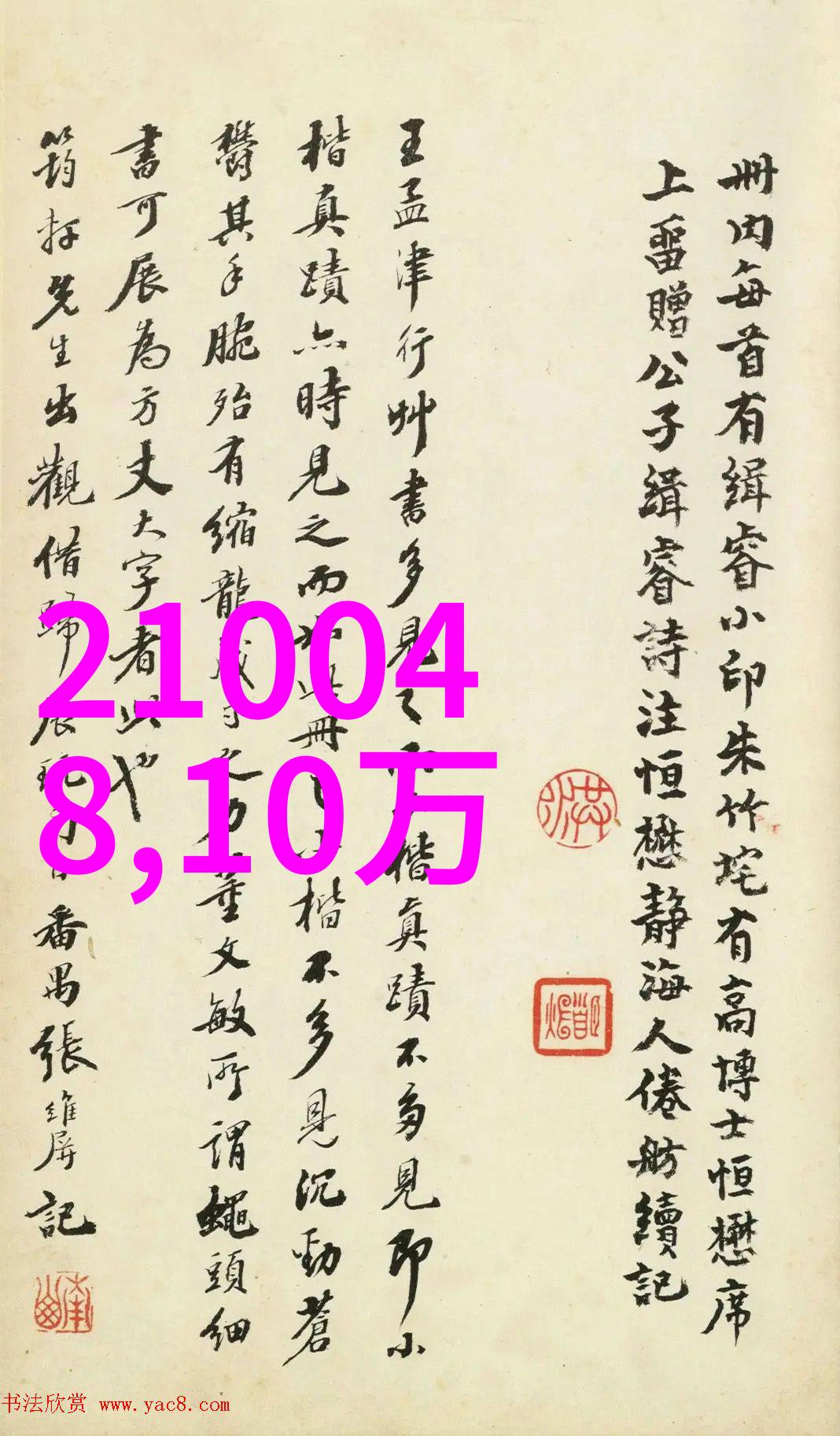 时代少年团综艺探秘幕后故事与真人秀精彩瞬间