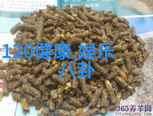 静谧之声全球十大好听纯音乐的反差篇
