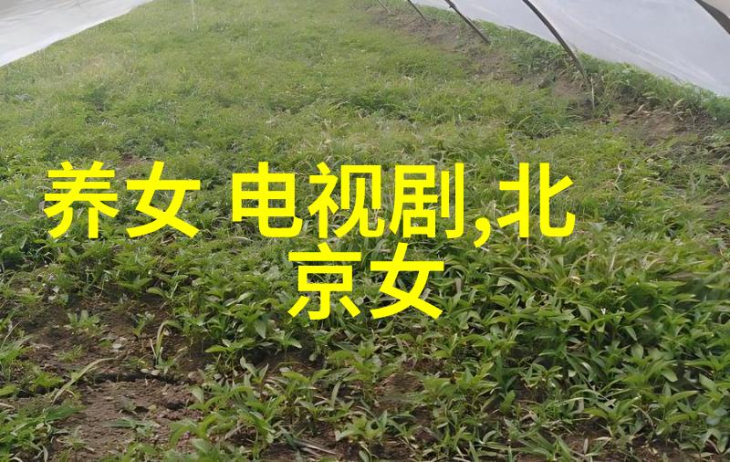 惠头条揭秘生活小技巧点亮每一天的光芒