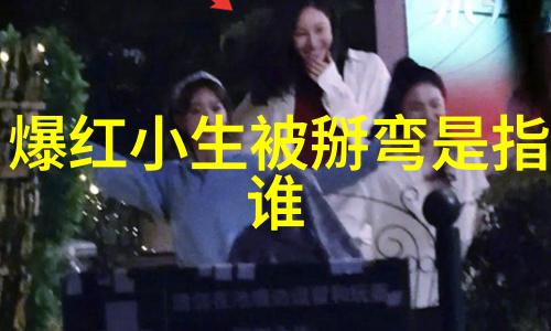 重生之娱乐天王逆袭的传奇路程