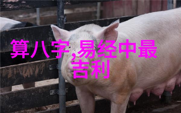 我爱音乐那些让人心动的好听流行歌曲名单你绝对不能错过