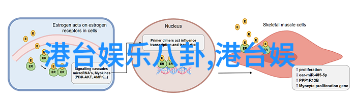 重生后嫁给废太子我的逆袭之路