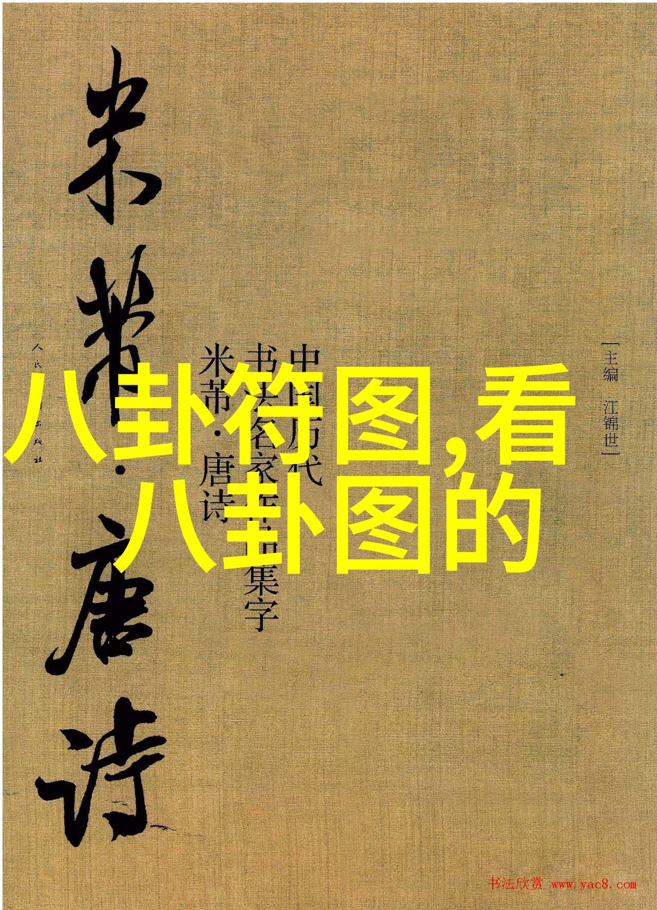 金子涵是美国国籍混血儿吗她个人资料简介六十四卦最吉利的卦能否揭示她的命运之谜