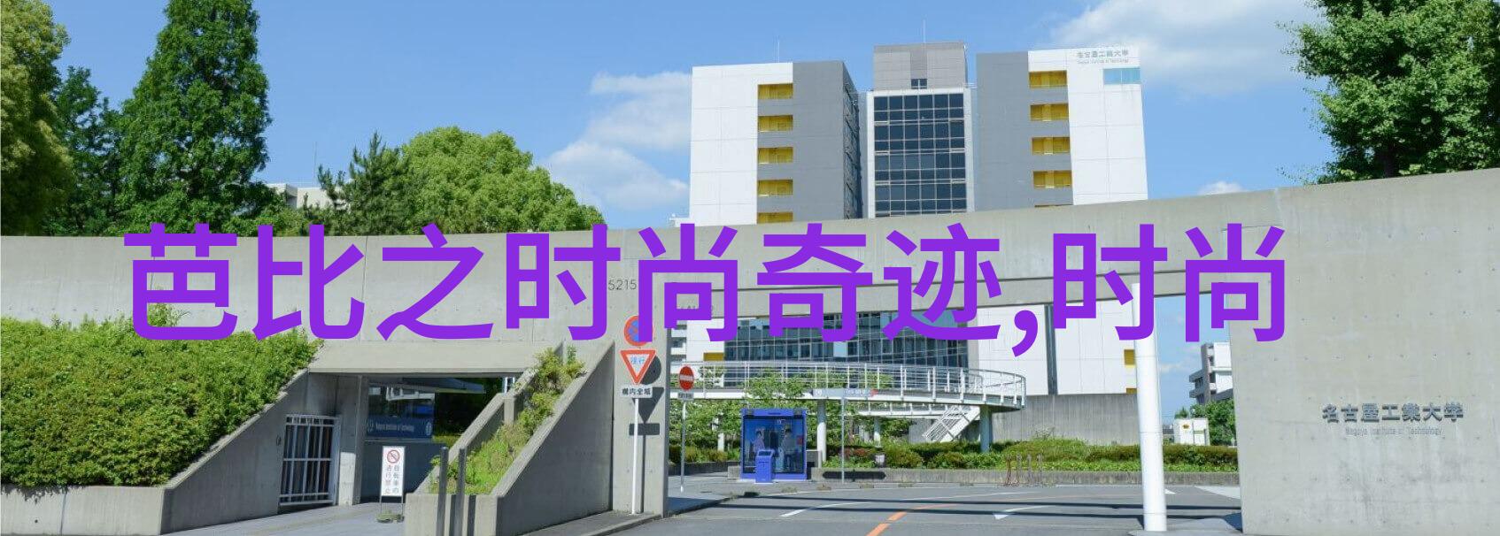 邓超夫妇出席新电影首映礼 孙俪穿黑色套装裙 精致又优雅(孙俪