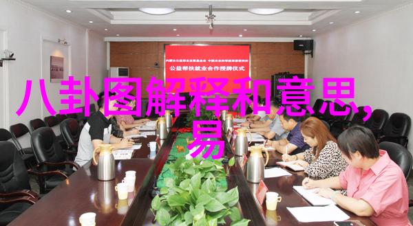马尔代夫多名民众称8日凌晨曾见客机低飞而过