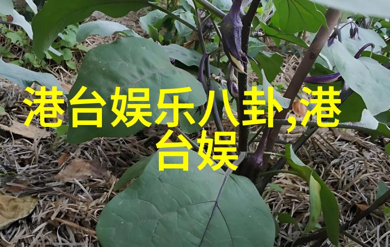 电影网-探秘全球影视界的最大宝库