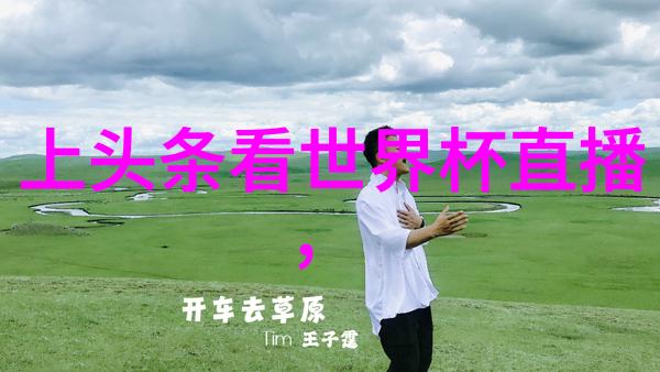 古典图腾绚烂的八卦艺术探秘