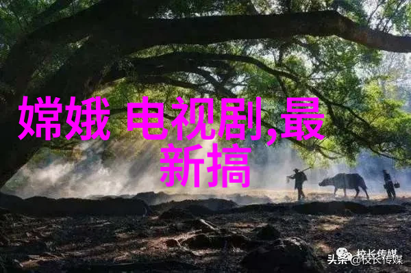 冯绍峰做亲子鉴定是真的吗我也想知道冯绍峰的秘密被揭开了
