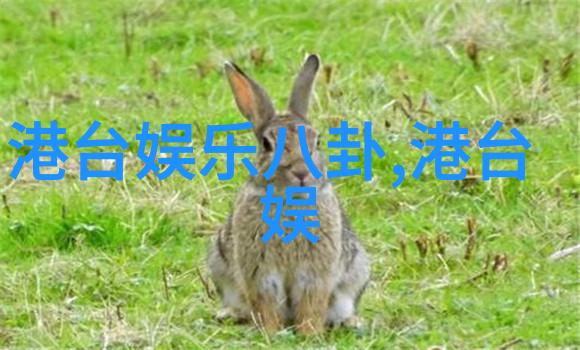 中国股市迎来新一轮涨幅科技板块领跌
