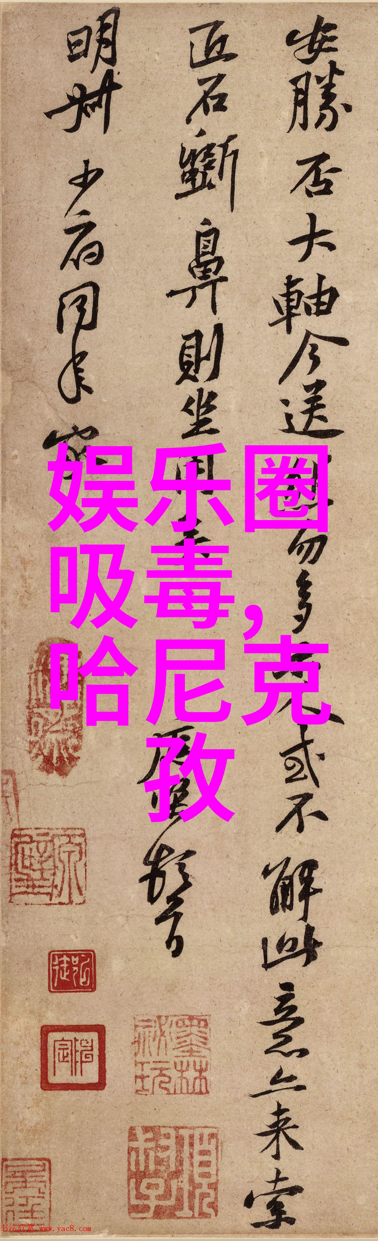 娱乐圈-爆笑挑战与感人故事2023年最受欢迎的综艺节目排行榜