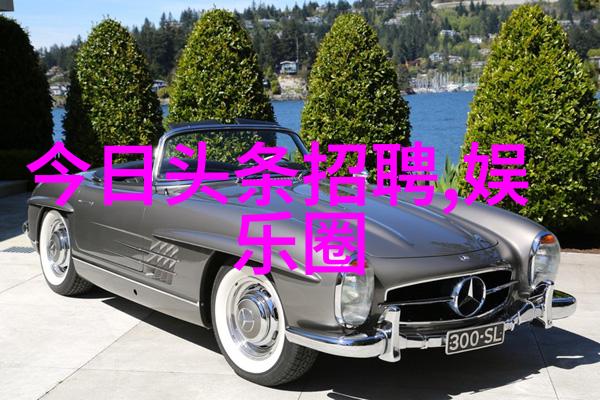 视觉盛宴美丽图像的绽放