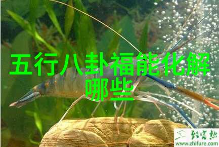 城管大楼晚上亮灯被指似娱乐场所我看了眼那栋平时总是昏暗的城管大楼竟然晚上也跟着点亮了灯光我心里一惊这