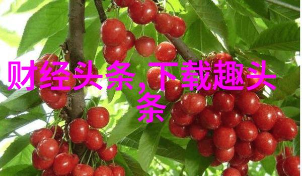 技术与创意的交汇如何制作高质量的美女写真视频