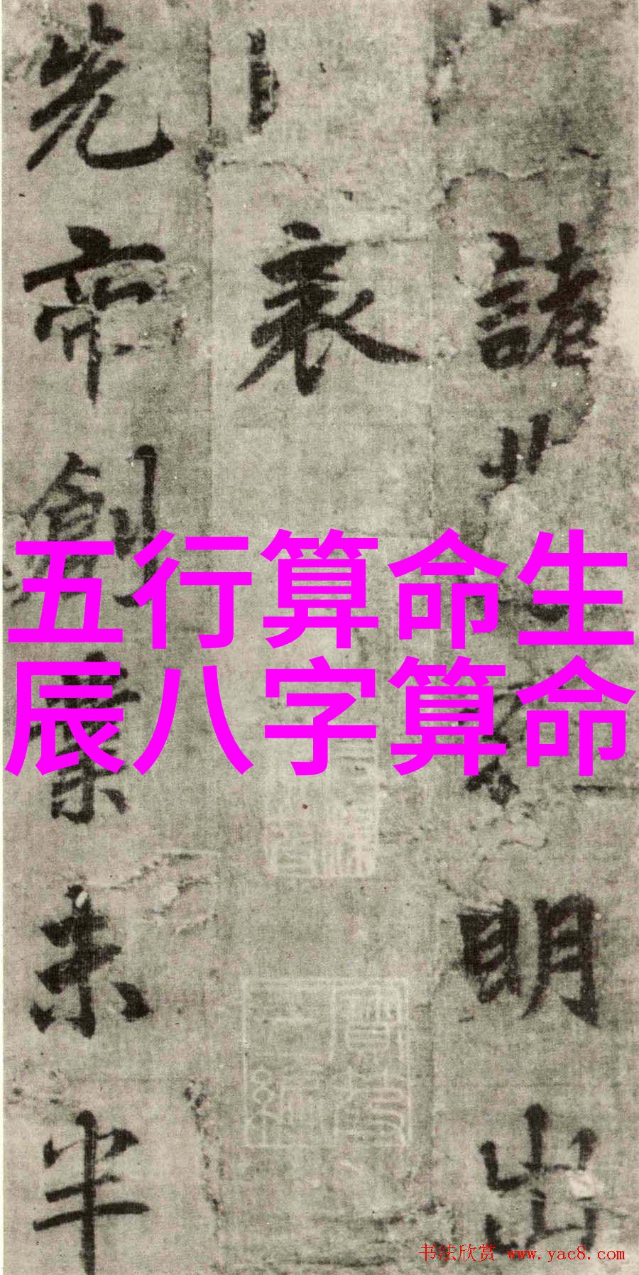 东京心动探秘日本最火热的恋爱综艺