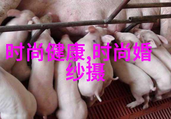 番茄影视桃花缤纷梦清公主暗流涌动三生三世十里桃花缪清公主给夜华下何方神光缪清公主终究将如何落幕