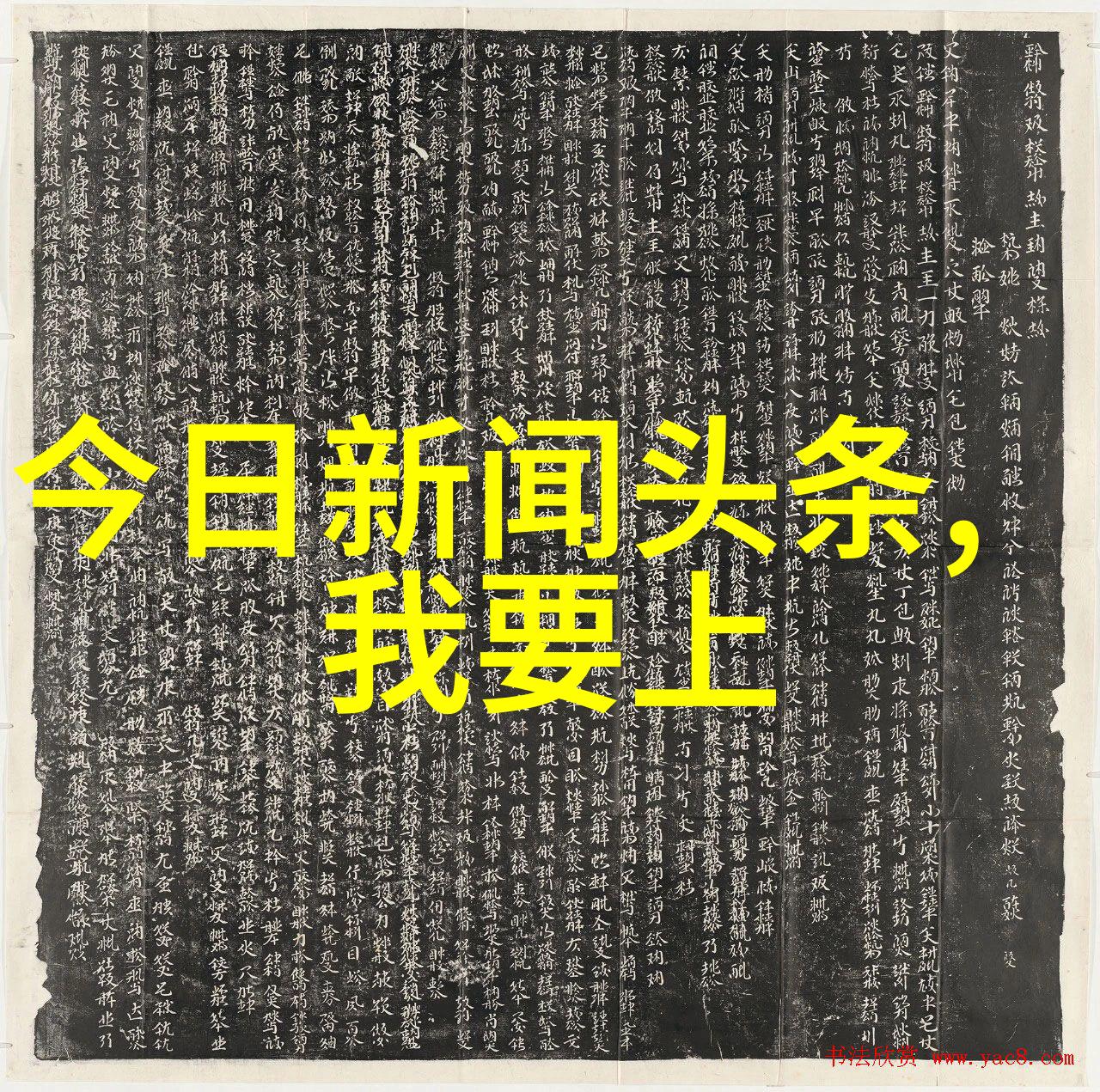 舒淇是否会因为这次拍摄而尝试更多不同的艺术形式和项目呢