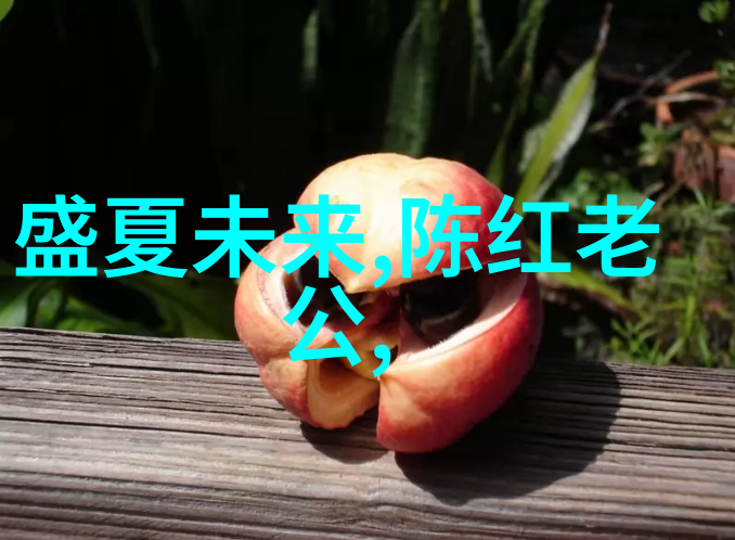 国际标准化组织发布最新的国家代号表探索3166的重要性与变化
