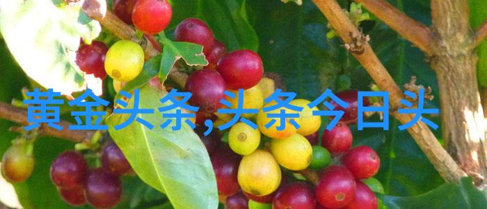 娱乐圈潜规则 - 幕后操控揭秘娱乐圈的不为人知游戏规则