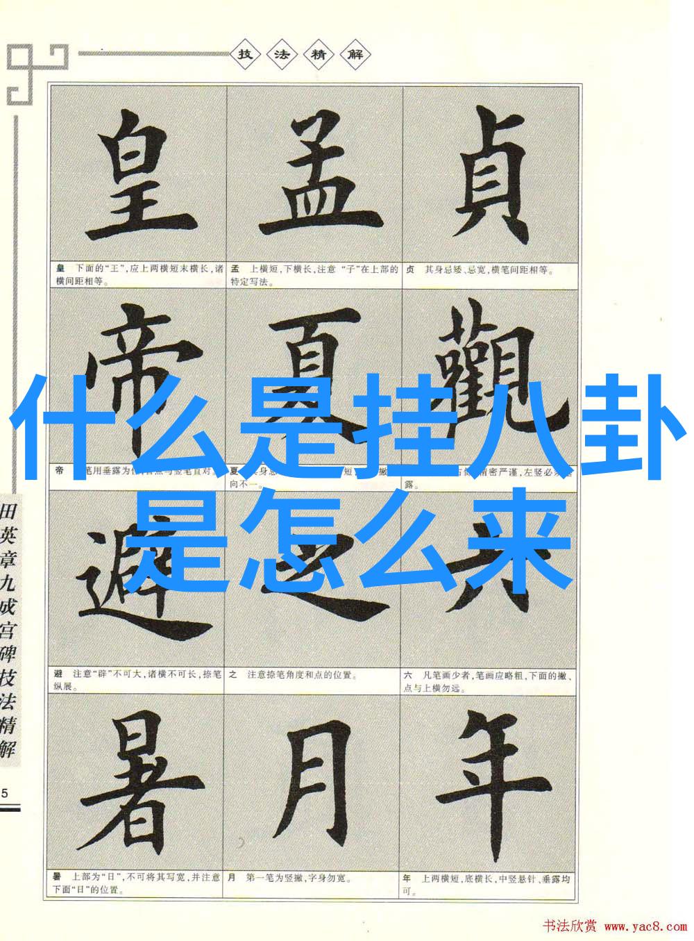 明月照我心主题曲解析音乐之美与情感共鸣