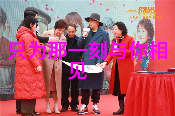 综艺玩很大 - 笑颜连连探秘娱乐圈最火热的综艺盛宴