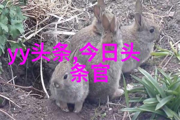 台海风暴陈孟奇探索的台湾问题大戏