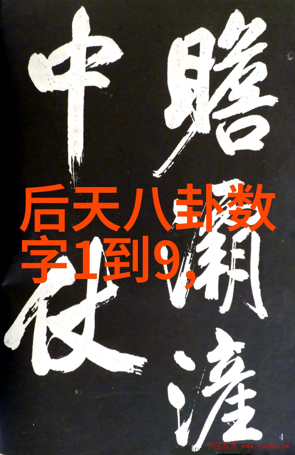 艺术之眼镜头下的写真艺术探索