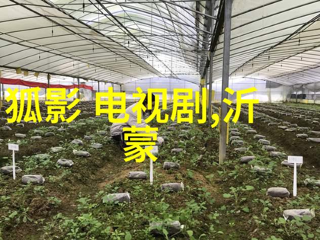 探索艺术写真的魅力捕捉生活中的美好瞬间