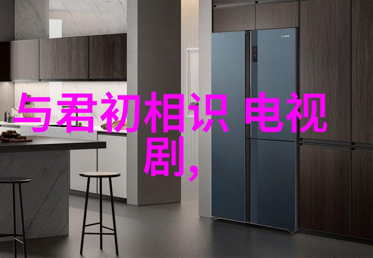 对比分析为什么选择用手机上下架的官方版还是第三方版本来安装蝶恋花