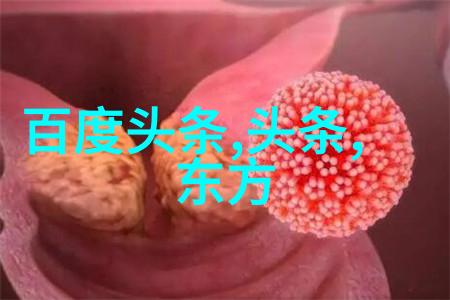 为时尚早-穿越时光的边界解析为时尚早的多重含义