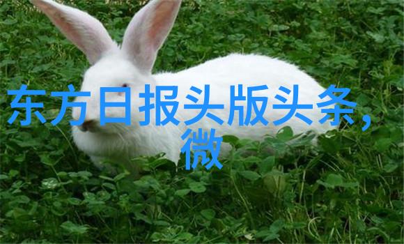 香港人叫内地还是大陆我是怎么称呼家外屋的