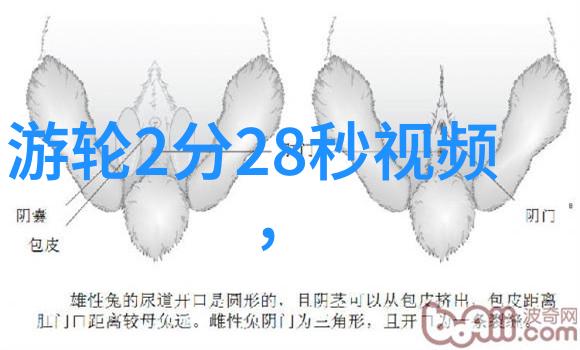 瑜伽之舞激荡体验的艺术探索