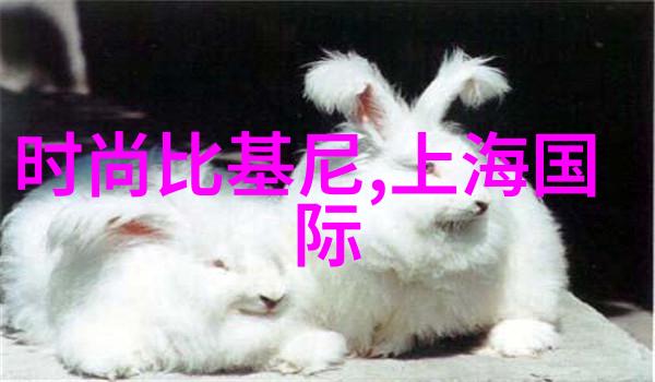 网红雪梨个人介绍直播间探秘