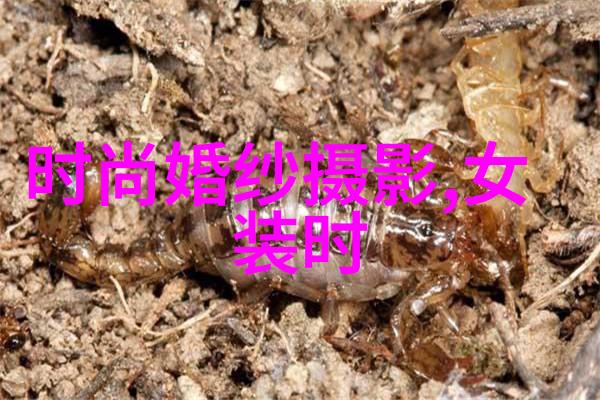 江苏综艺频道探索文化多元的视觉盛宴