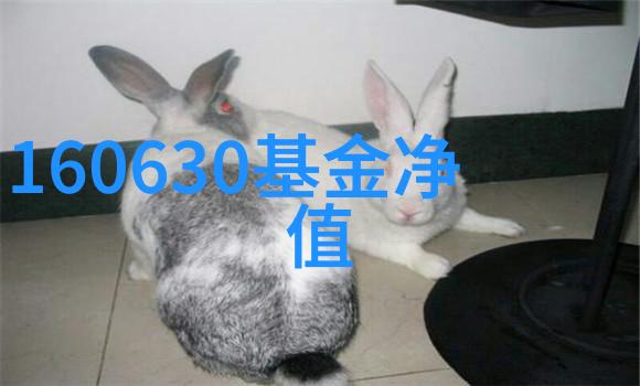 牛牛影视的瘦脸针第一次体验是怎样的心情呢