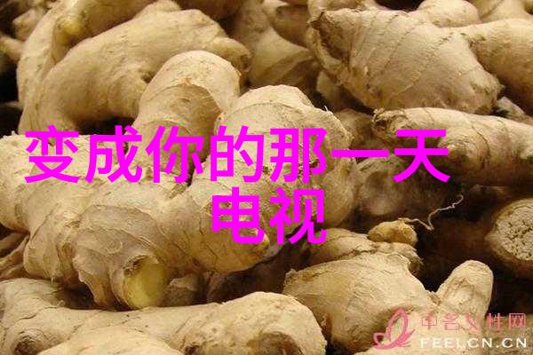 一生详批算命免费揭秘命运的神秘之门