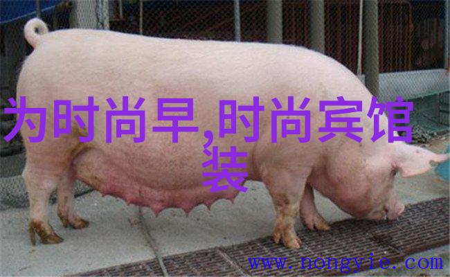 探秘千金之谜真假千金全集中的家族秘密与爱恨纠葛