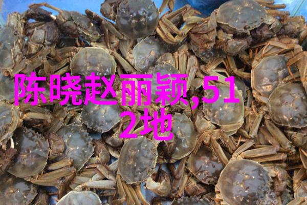 跨海情绪两岸的和谐之歌