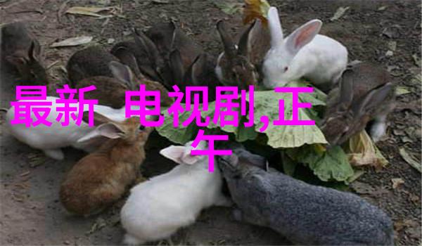 斗鱼丸子yooo黑历史揭秘这个娱乐圈的小怪兽有多么神秘
