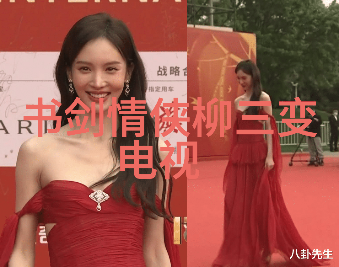 我和老妈一起嫁家庭相亲的爱情奇遇