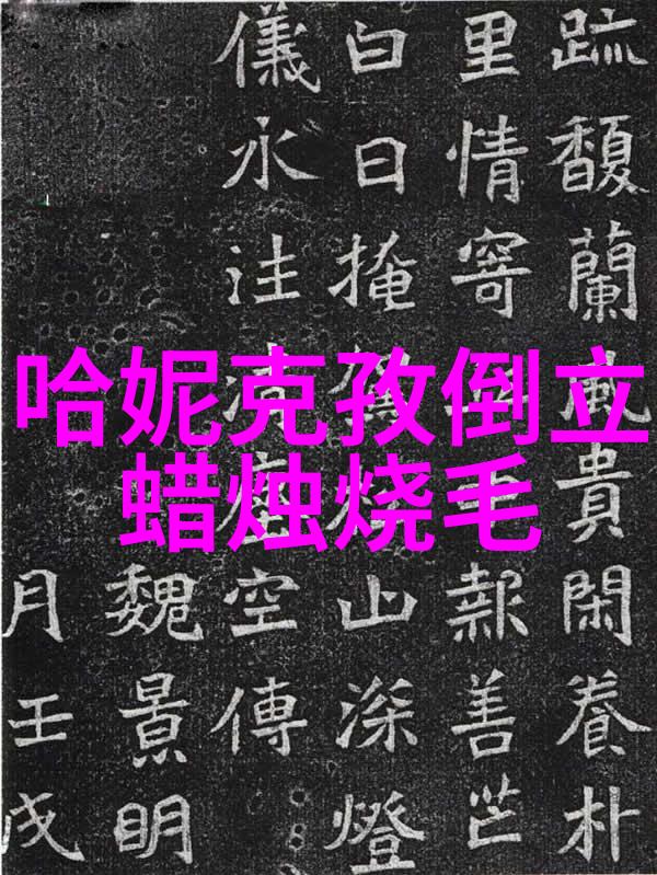 皇恩娱乐的王子慧明日之子大牛与王子慧是否是双胞胎姐妹