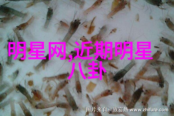 家庭联袂的幸福之旅探索我和老妈一起嫁电视剧中的爱情与成长