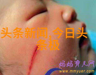 色彩世界探索就去色吧的艺术魅力