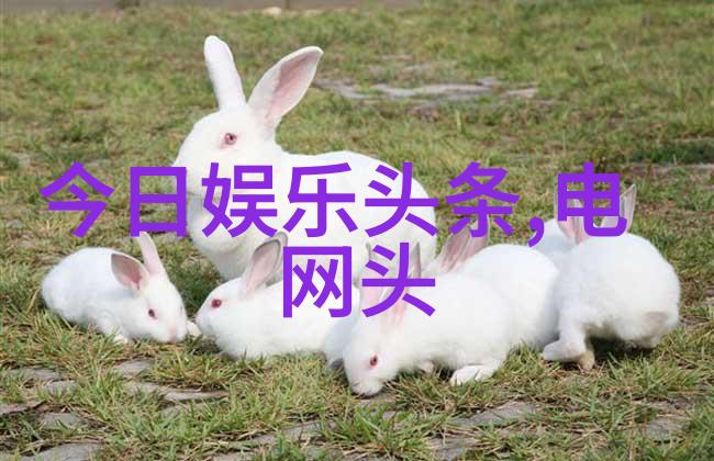拍摄情意纠葛时我们应该遵循哪些道德准则和法律法规呢