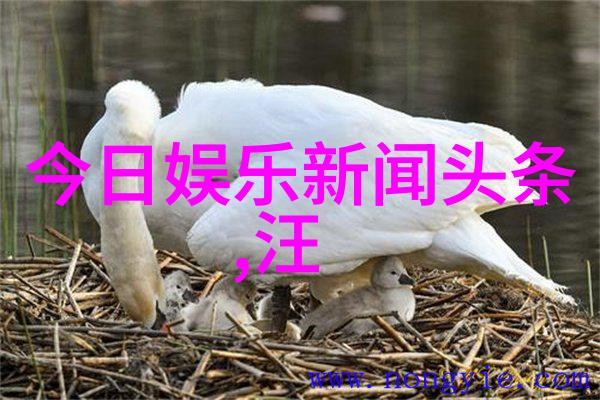 三笘薰三球王之称如同一线主播排名中的璀璨明星耀眼夺目